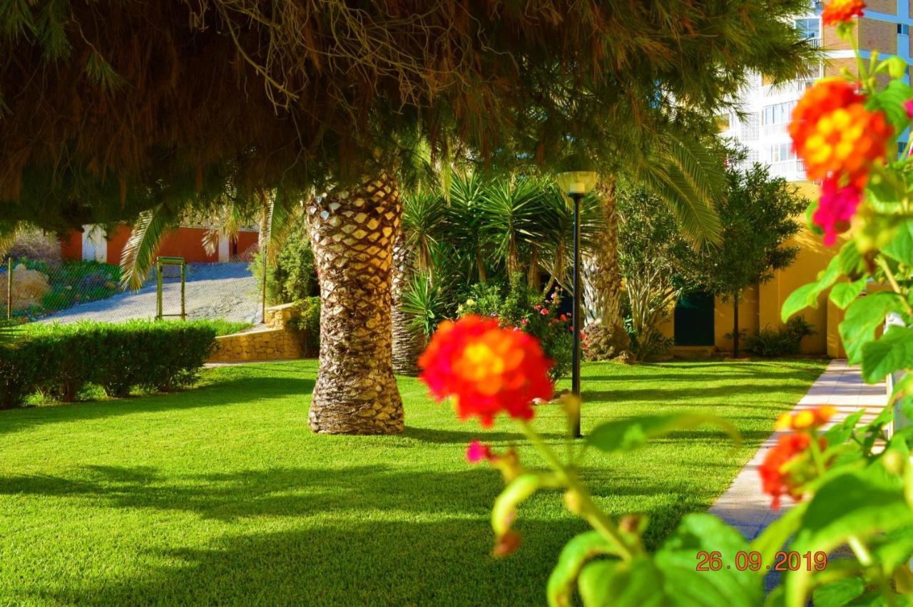 Bungalo En Primera Linea De La Playa Lejlighed El Campello Eksteriør billede